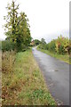 The Road to Lapley Wood Farm, Lapley