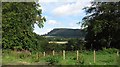 Benarty Hill seen from Kelty