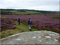 SK2680 : Rock and heather, near Toad's Mouth by Peter Barr