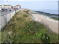 The cliffs at The Oval, Cliftonville