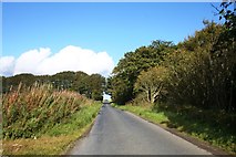 NJ9320 : Road to Middlemuir by Andrew Wood
