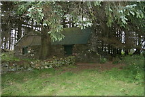 NJ4325 : Abandoned cottage at Innesbrae by Des Colhoun