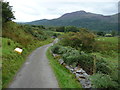 Lane below Carneddi farm