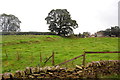 Field opposite Wincle Church and school