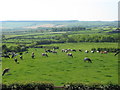 View from farm shop