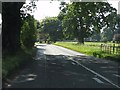 Tree-lined approach to Lyonshall on the A44