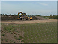 Landscape restoration on the new A46