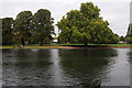 The Thames near Sunbury Lock