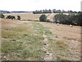 SO5137 : Fields of stubble, near Bullinghope by Roger Cornfoot