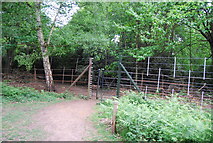 TQ1973 : Gate and deer proof fence, Sidmouth Woods, Richmond Park by N Chadwick