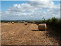 Rolls of straw in field near Crook