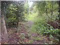 Path off Reigate Road, Betchworth