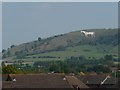 Westbury : Westbury White Horse & Rooftops