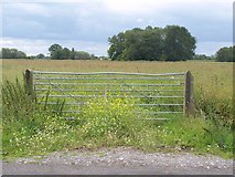 ST4844 : Gate and field, Yeap's Drove by Derek Harper