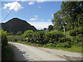 Lane along Cwm Pennant