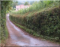 ST5045 : Hillier's Lane by Derek Harper