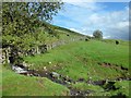 Small burn flowing from the Campsie Fells