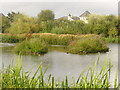 Reedy Inlet, London Wetland Centre