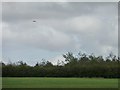 SE4121 : Kestrel hovering above a field, near Common Side Lane by Christine Johnstone
