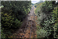 J1569 : Disused railway, Legatiriff near Glenavy (5) by Albert Bridge