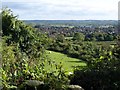 View from above Cheddar