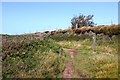 SW7554 : The Southwest Coast Path to Perranporth by Steve Daniels
