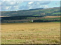 Harvesting at Mill of Gask