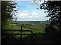 Former Farmland off Skegby Lane