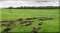 NT6141 : Peaty soil, Gordon Moss by Richard Webb