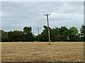 Power lines towards Lawn Hall