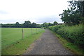 Footpath near Birling Ashes