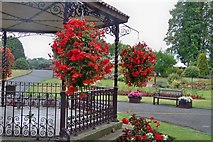 SO7192 : Floral Display, Castle Gardens - Bridgnorth by Colin Babb