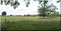 Pasture near Heath Knapp Farm