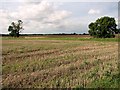 Field boundary west of Brown