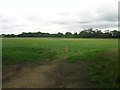 Farmland off Haywood Lane