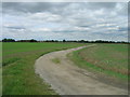 Cycle path towards Balne Lodge