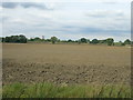 Farmland near Pollington