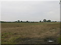 Farmland, Norton Common