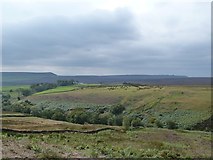 SE6494 : Moorland Scenery approaching Bransdale by Paul Buckingham