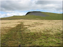 NY3128 : The lower slopes of Atkinson Pike by David Purchase