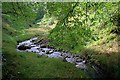 Thackthwaite Gill