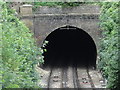 Lydden, Shepherdswell Tunnel