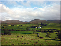 NY6605 : Cattle and sheep pastures near Kelleth by Karl and Ali