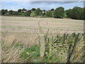 Footpath towards Wadshelf