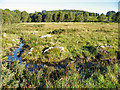 Boggy Ground below Mulloch