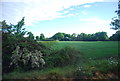 Farmland on the edge of Billingshurst