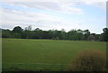 Grassy field , Todhurst Farm