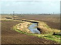 Marsh drainage ditch