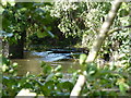 A weir on the Rea Brook