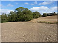 Footpath west of Sutton Farm estate